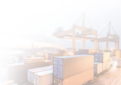 20250304231247294729