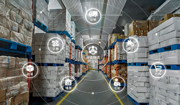 多宝电竞冷链图片2
