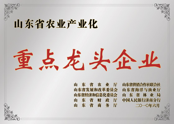 山东省农业产业化沉点龙头企业